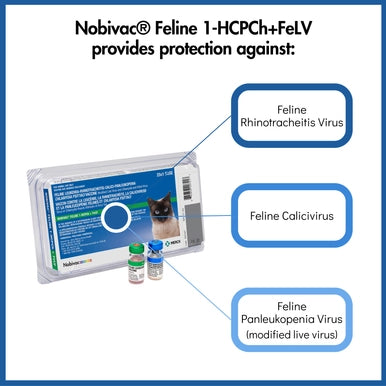 Nobivac® Feline 1-HCPCh+FeLV,"Box with two vaccine vials and disease callout graphic"