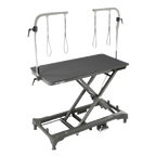 "50"" Dog Grooming 908 Electric Table without Drawer by Waggz","Electric grooming table with overhead arm supports"