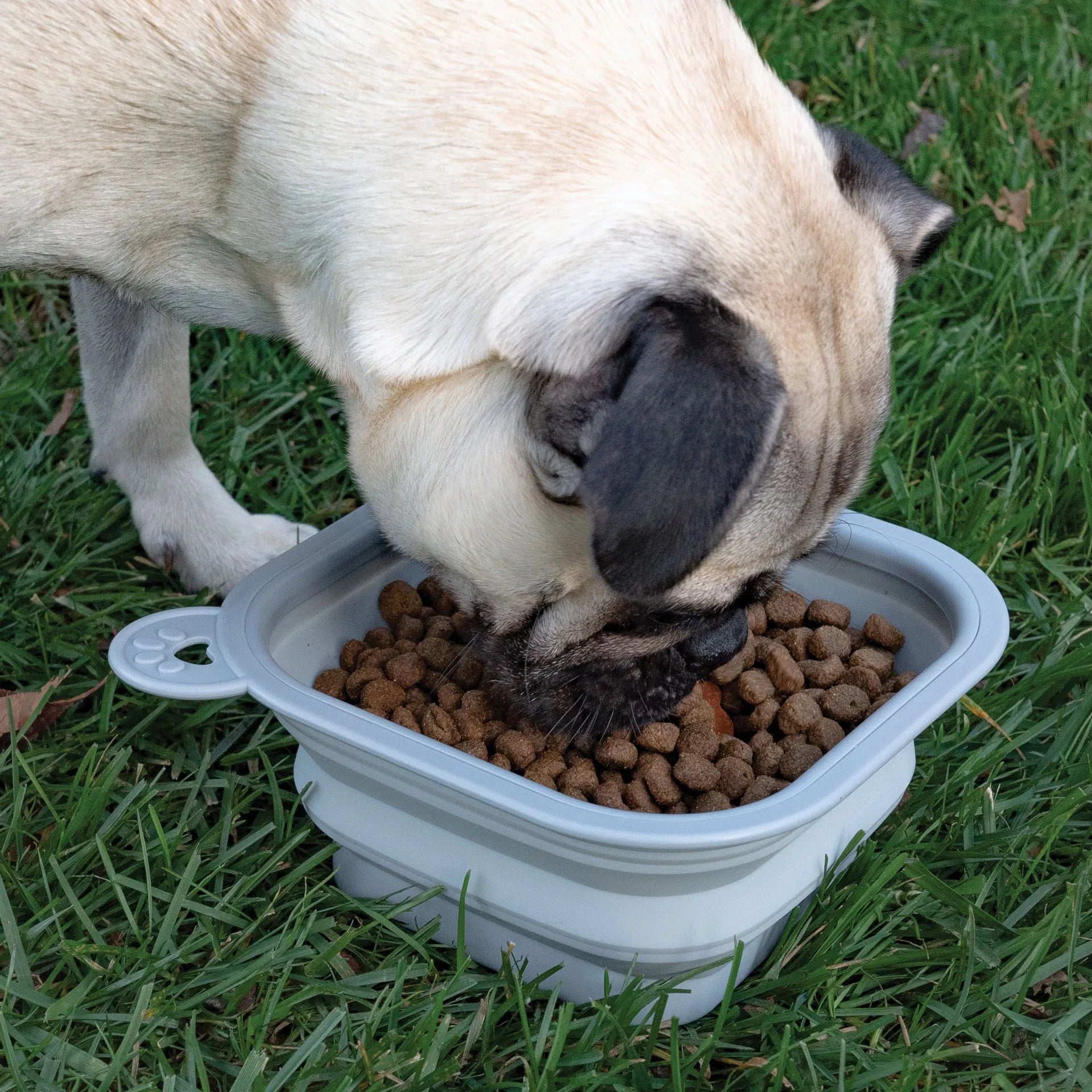 Replacement Collapsible Dog Bowls,"Gray collapsible dog bowl filled with kibble"