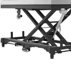 Dog Grooming Electric Tub with Sliding Door by Waggz,"Black scissor-lift tub base with foot pedal and drain pipe"