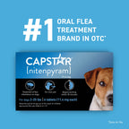 Capstar™,"Product box with dog face graphic on front"