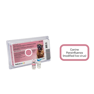 Nobivac® Intra-Trac® KC,"Blister pack with two small vials and separate pink label card"