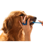 BrushMate Premium Toothbrush,"Blue finger toothbrush brushing a dog's teeth"