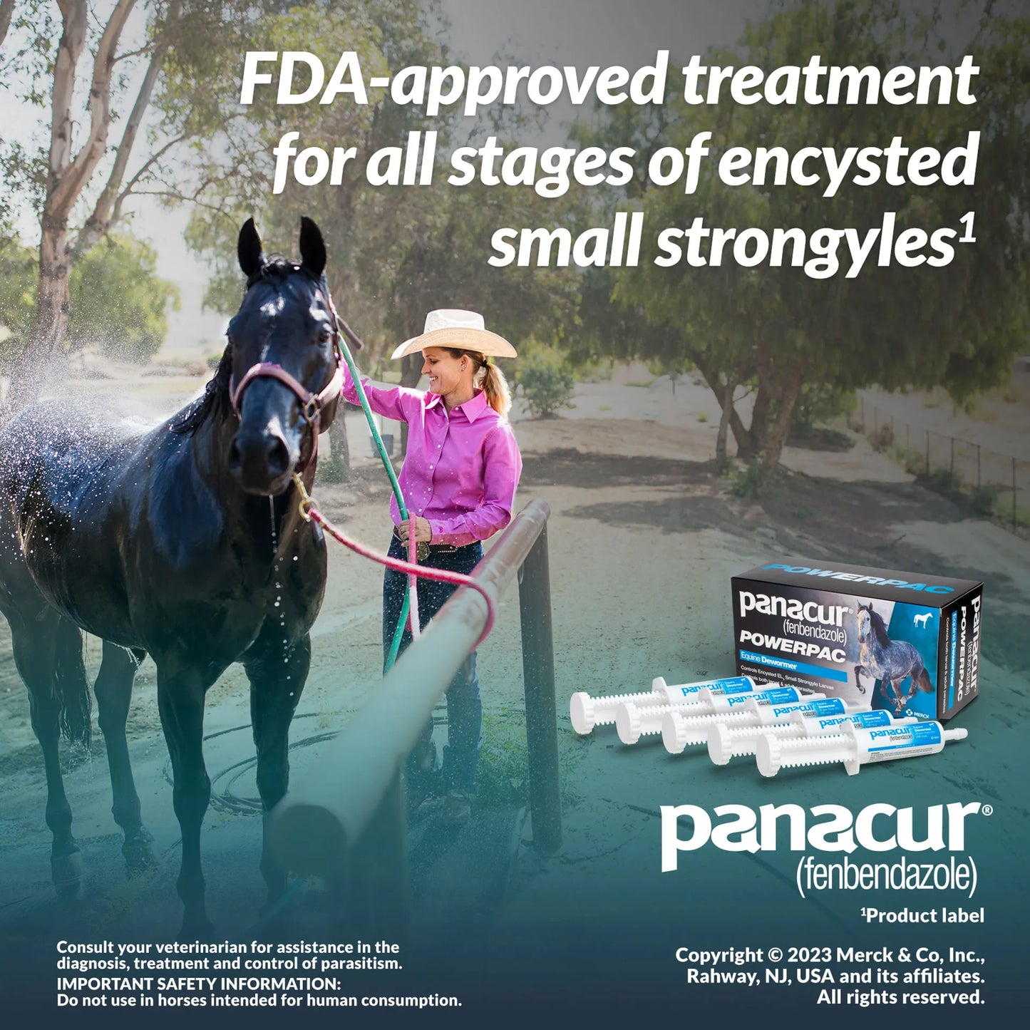 Panacur® PowerPac Paste Horse Dewormer,"Box with horse image and four oral paste syringes"
