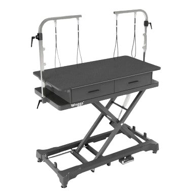 "50"" Dog Grooming 999P Electric Table with Drawer by Waggz","Electric grooming table with drawer and overhead arm supports"