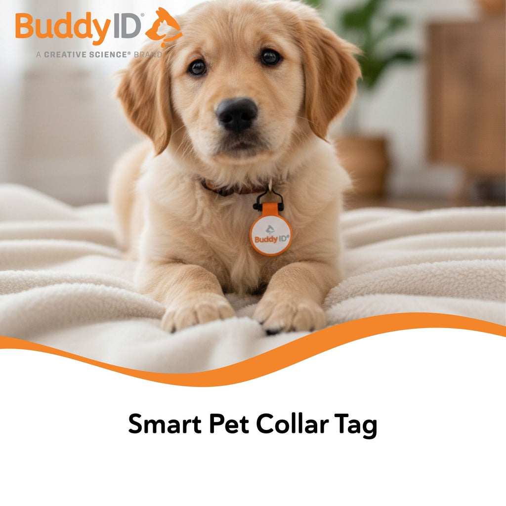BuddyID® BuddyBadge® Silicone Collar Tag,"Golden puppy wearing round orange collar tag"