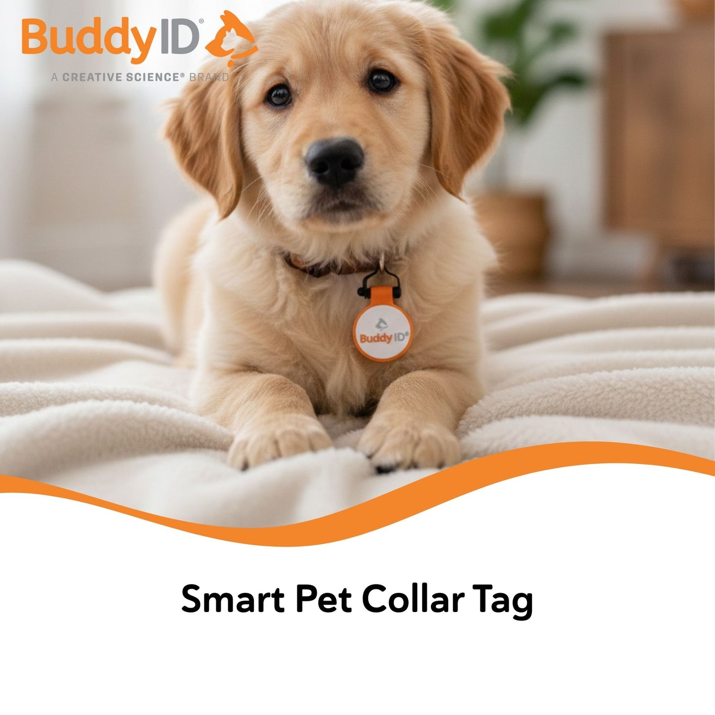 BuddyID® BuddyBadge® Silicone Collar Tag,"Golden puppy wearing round orange collar tag"