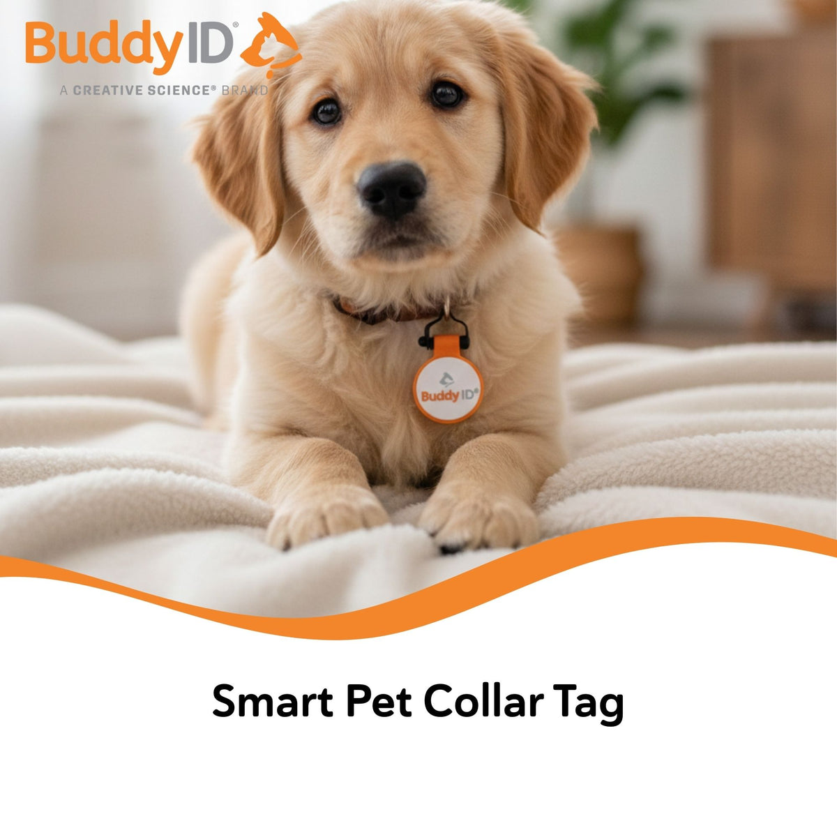 BuddyID® BuddyBadge® Silicone Collar Tag,"Golden puppy wearing round orange collar tag"