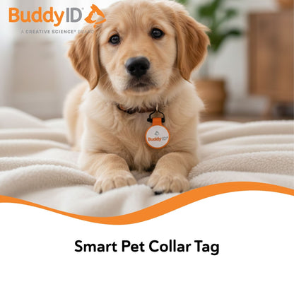 BuddyID® BuddyBadge® Silicone Collar Tag,"Golden puppy wearing round orange collar tag"
