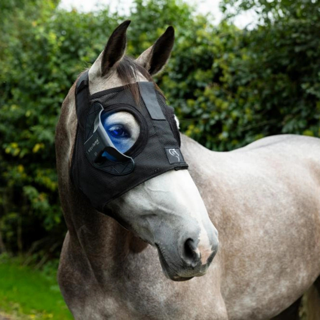 Equilume Light Mask,"Gray horse wearing black eye mask with blue lens panel"