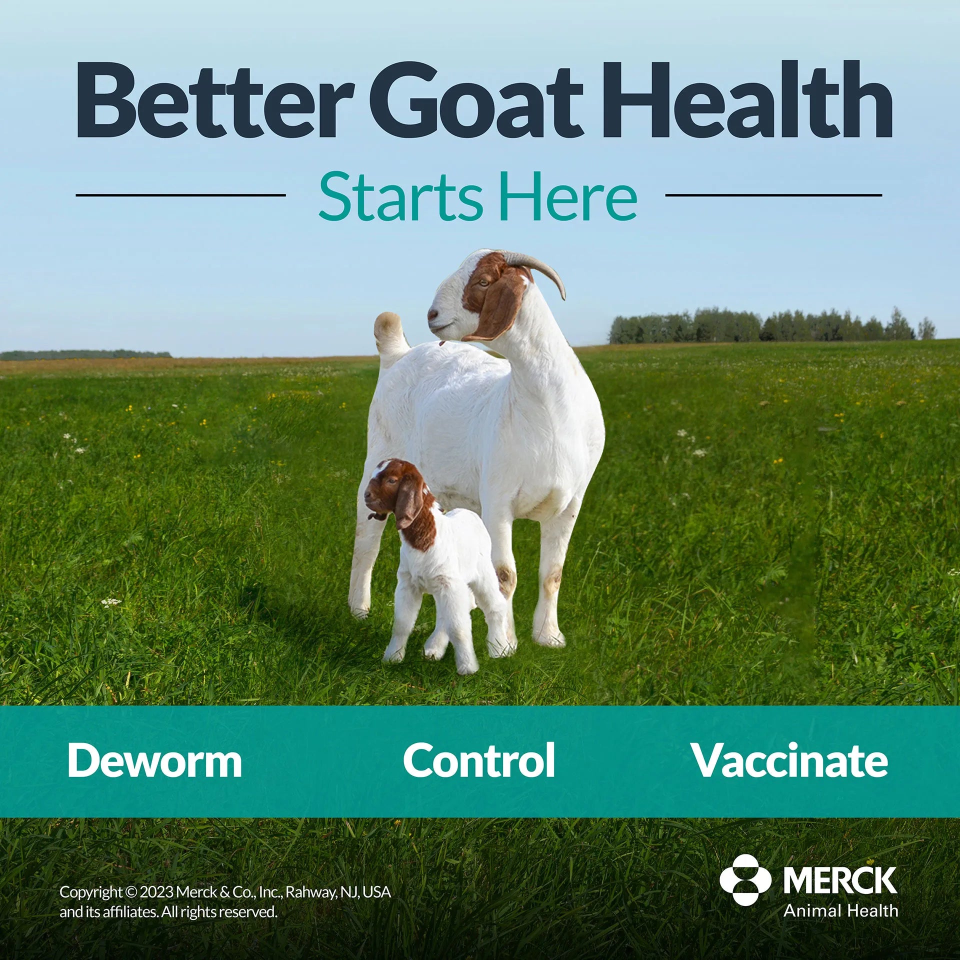 Safe-Guard® Dewormer for Goats Cattle,"Adult goat and kid standing in grassy field"