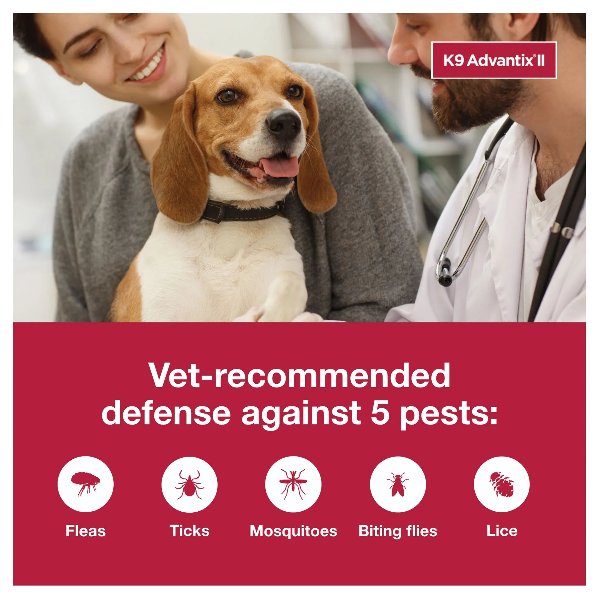 K9 Advantix™ II,"Beagle with owner and veterinarian in clinic"