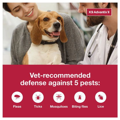 K9 Advantix™ II,"Beagle with owner and veterinarian in clinic"