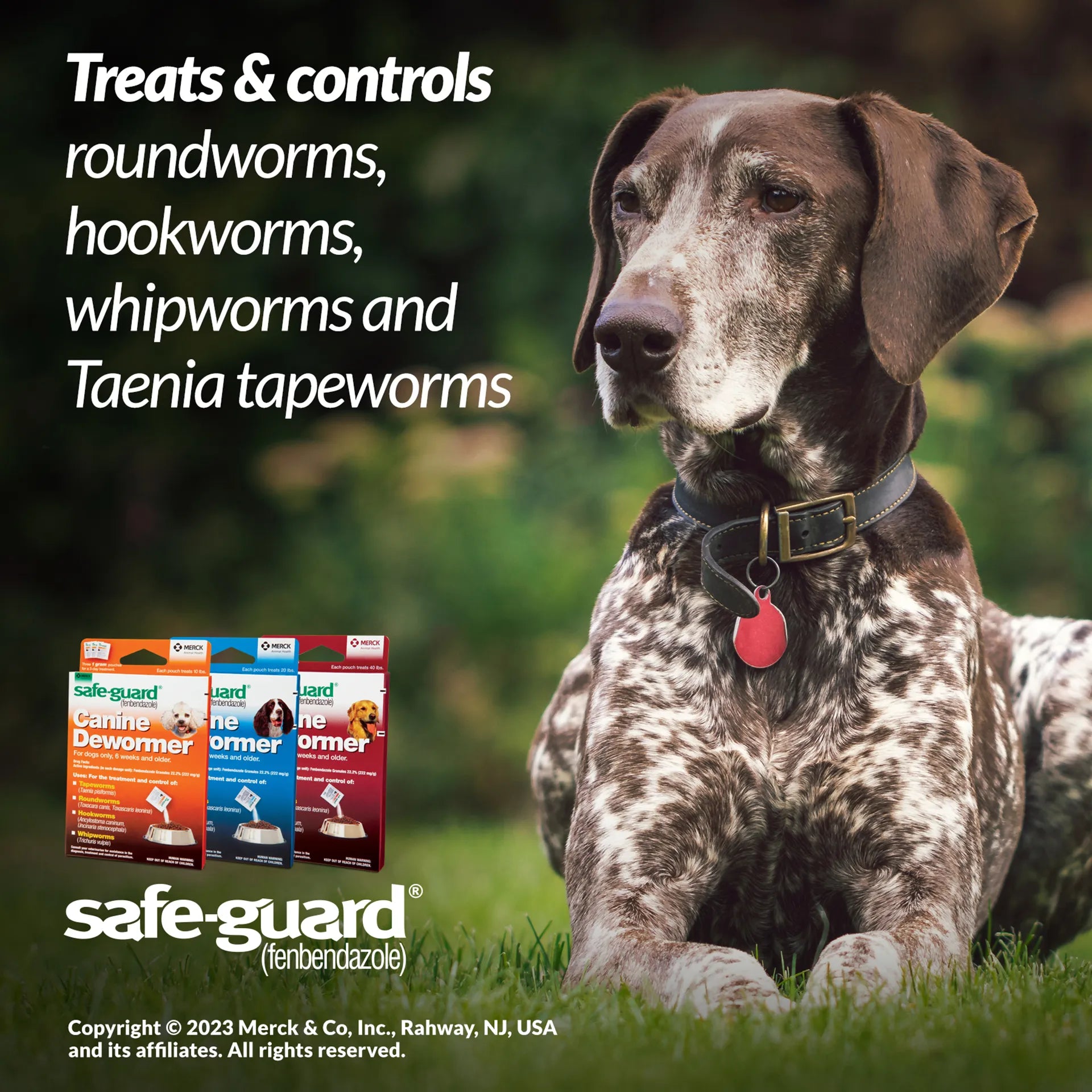 Safe-Guard® Canine Dewormer for Dogs,"Dog beside three dewormer boxes outdoors"