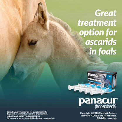 Panacur® PowerPac Paste Horse Dewormer,"Five oral paste syringes with product box and foal image"