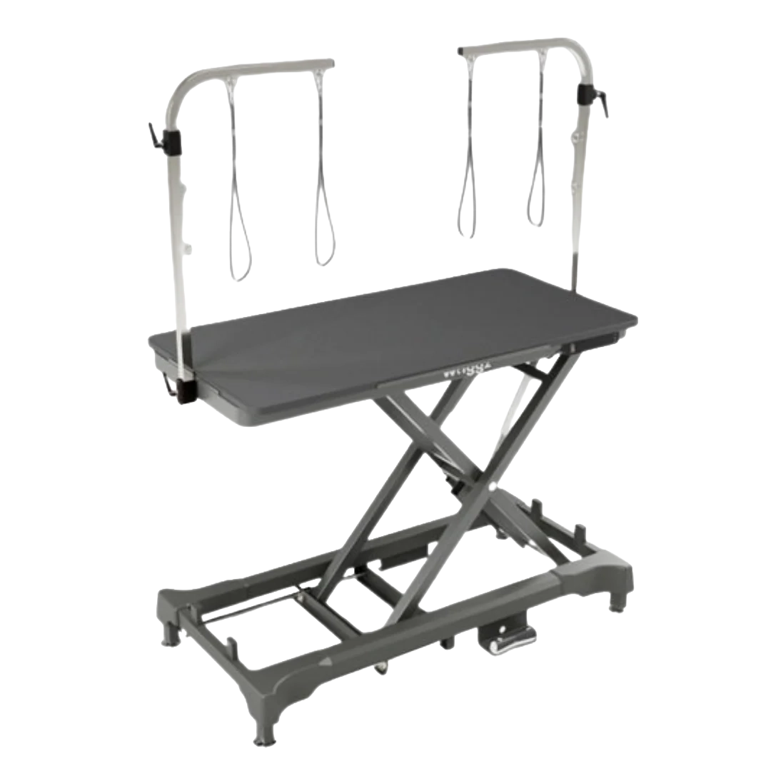 "52"" Dog Grooming 999 Electric Table without Drawer by Waggz","Electric grooming table with overhead arm and restraint loops"