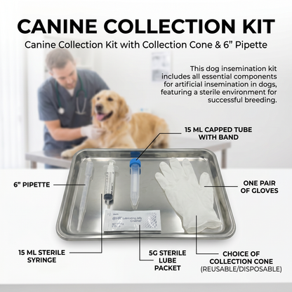 Canine Collection Kit with Collection Cone & 6" Pipette
