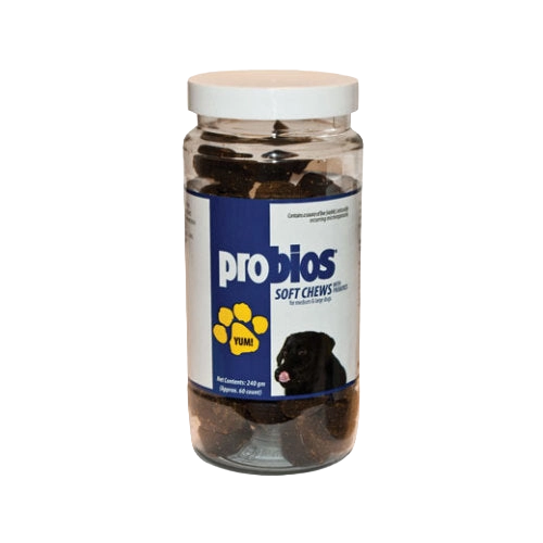 Probios® Soft Chews,"Clear plastic jar of dark soft chews with white lid"