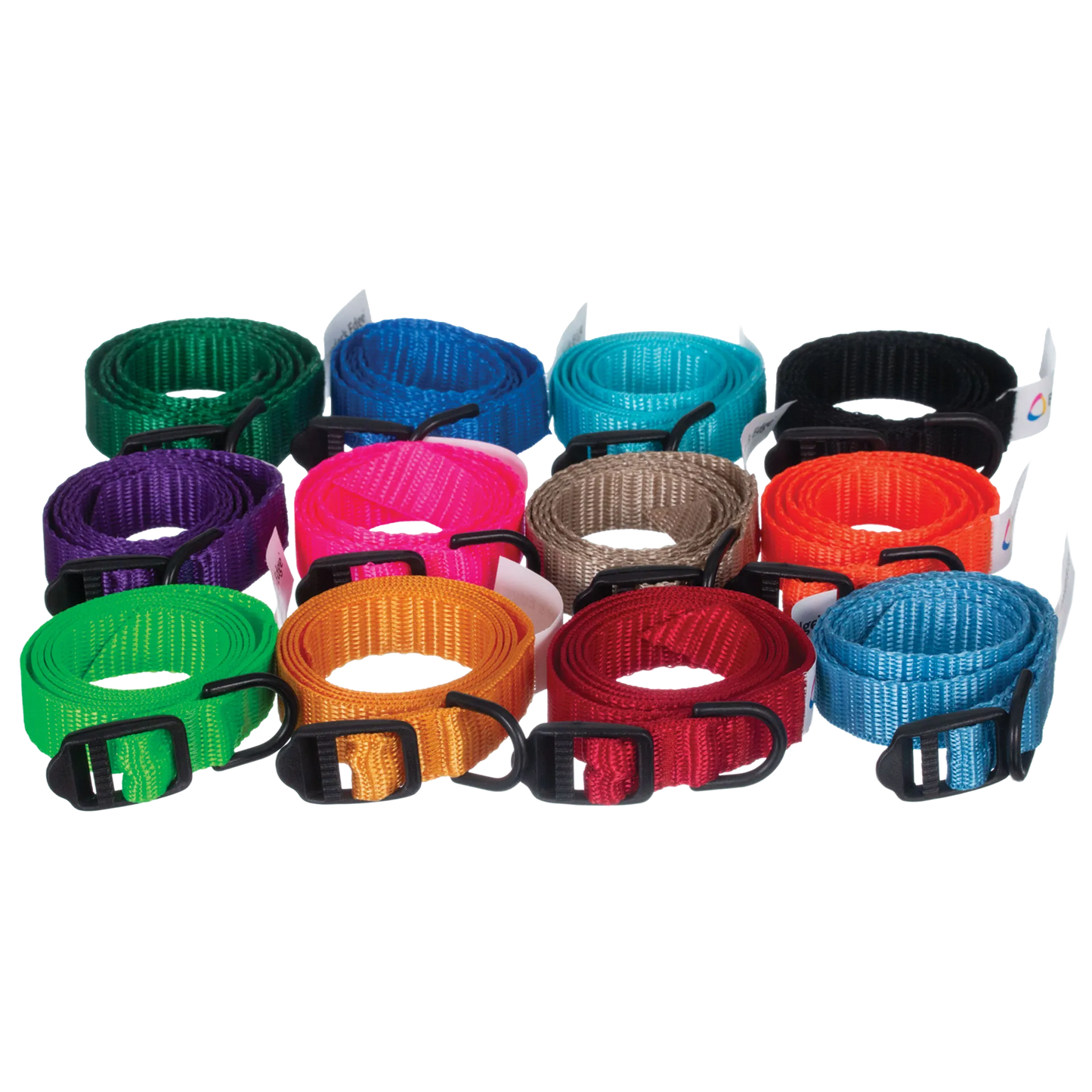 Breeder's Edge® ID Me™ Take Me Home Collars and Leashes,"Assorted rolled nylon collars with black buckles"