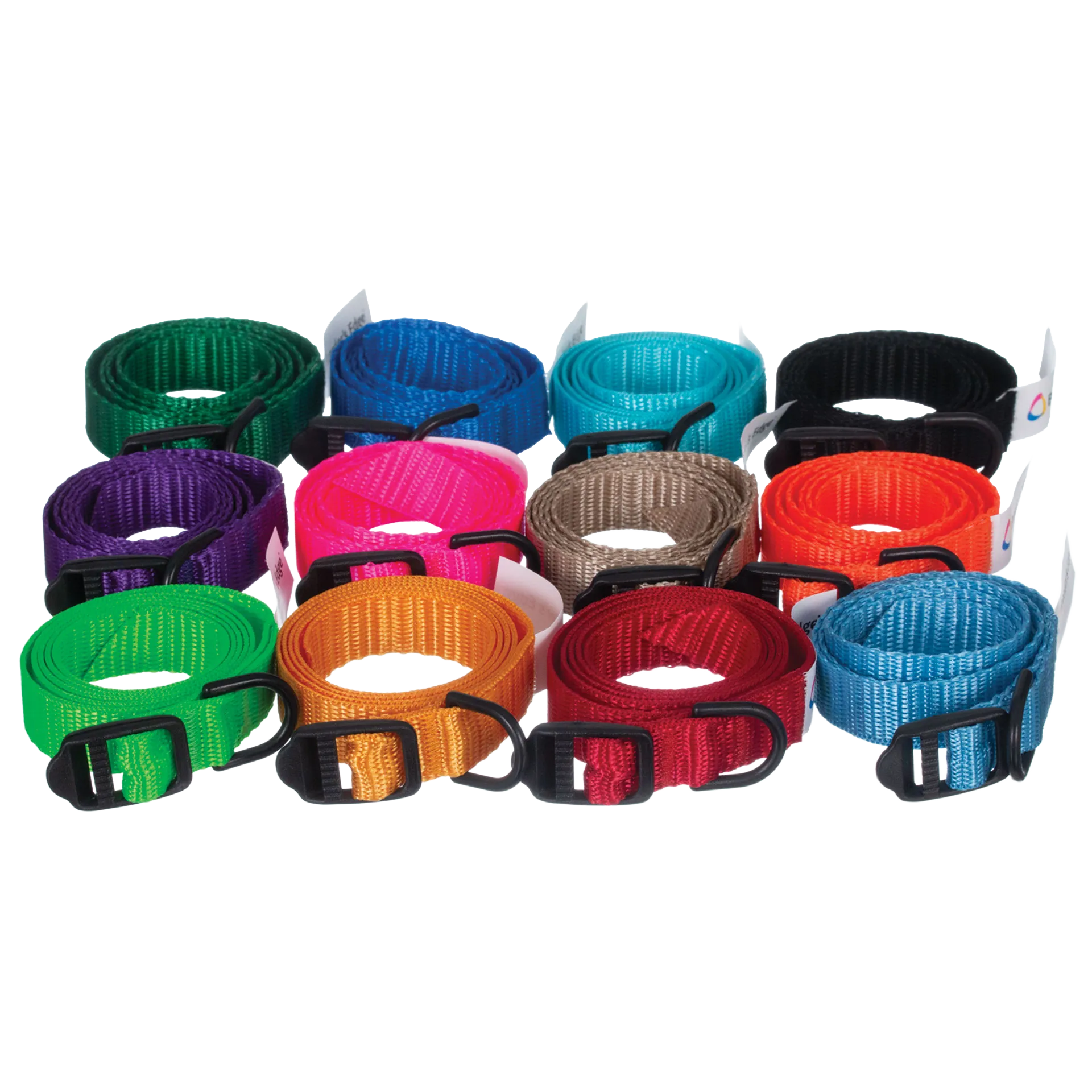 Breeder's Edge® ID Me™ Take Me Home Collars and Leashes,"Assorted rolled nylon collars with black buckles"