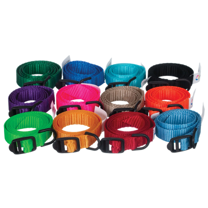 Breeder's Edge® ID Me™ Take Me Home Collars and Leashes,"Assorted rolled nylon collars with black buckles"