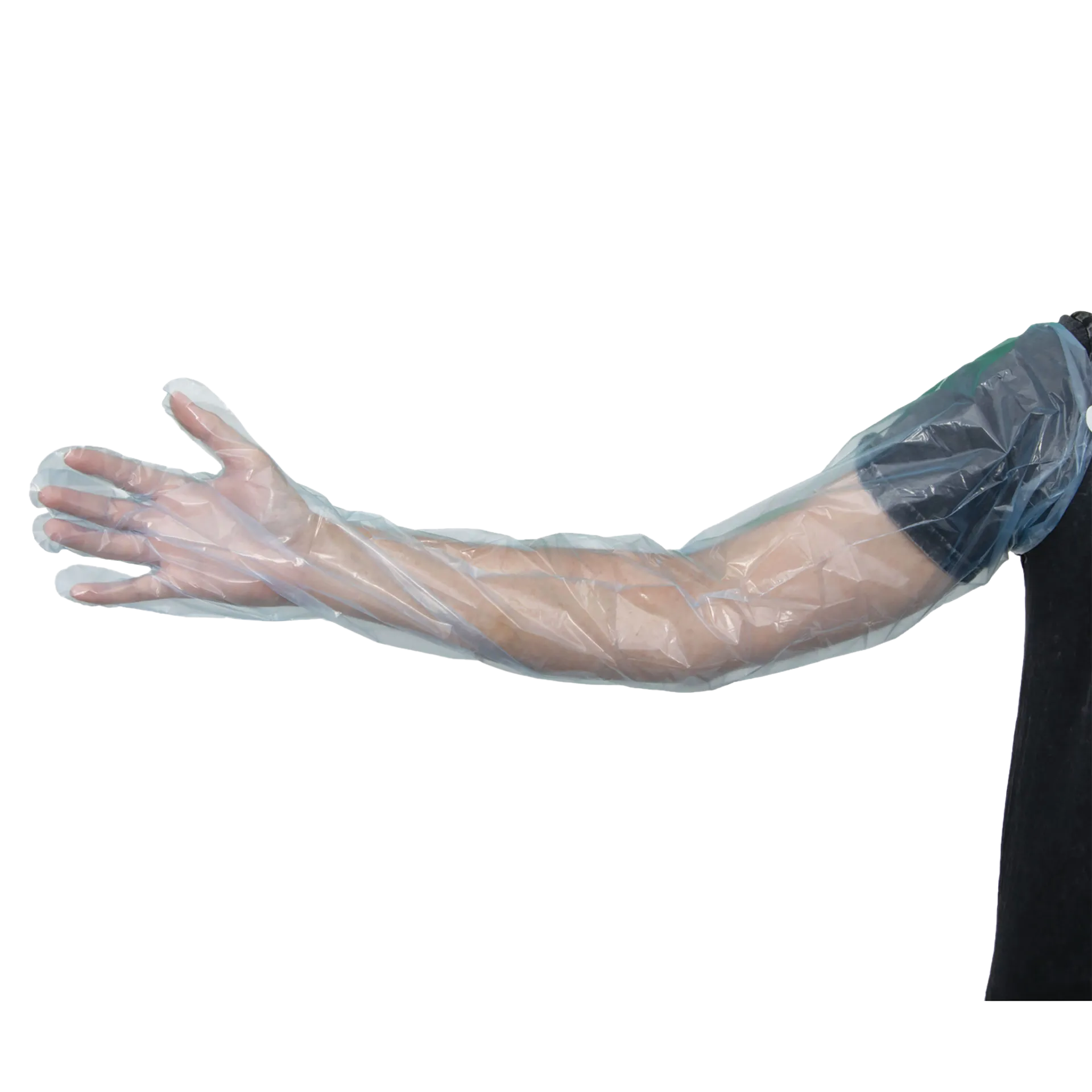 Sterile Insemination Sleeve,"Clear plastic arm sleeve worn on forearm"