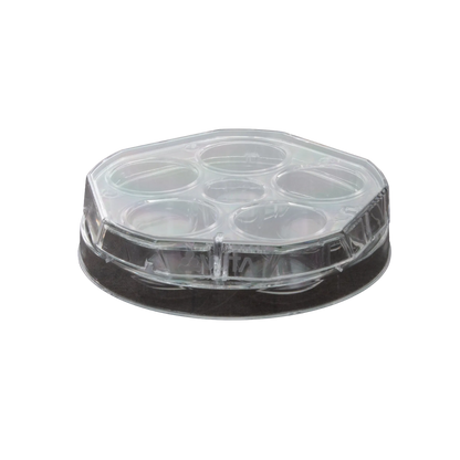 WTA 5 WELL DISHES,"Clear five-well dish with round center well and lid"
