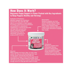 Puppy Support for Fading Puppies,"Supplement jar shown in ingredient infographic"
