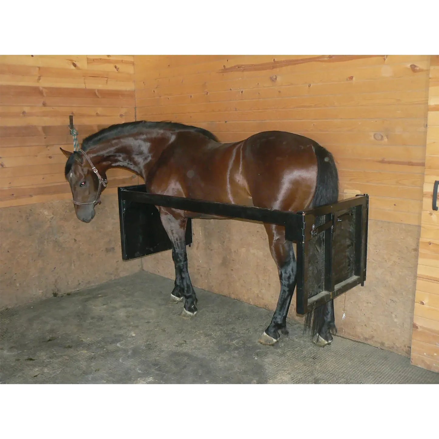 Stall Stocks Uni,"Black horse in wooden stall stocks"