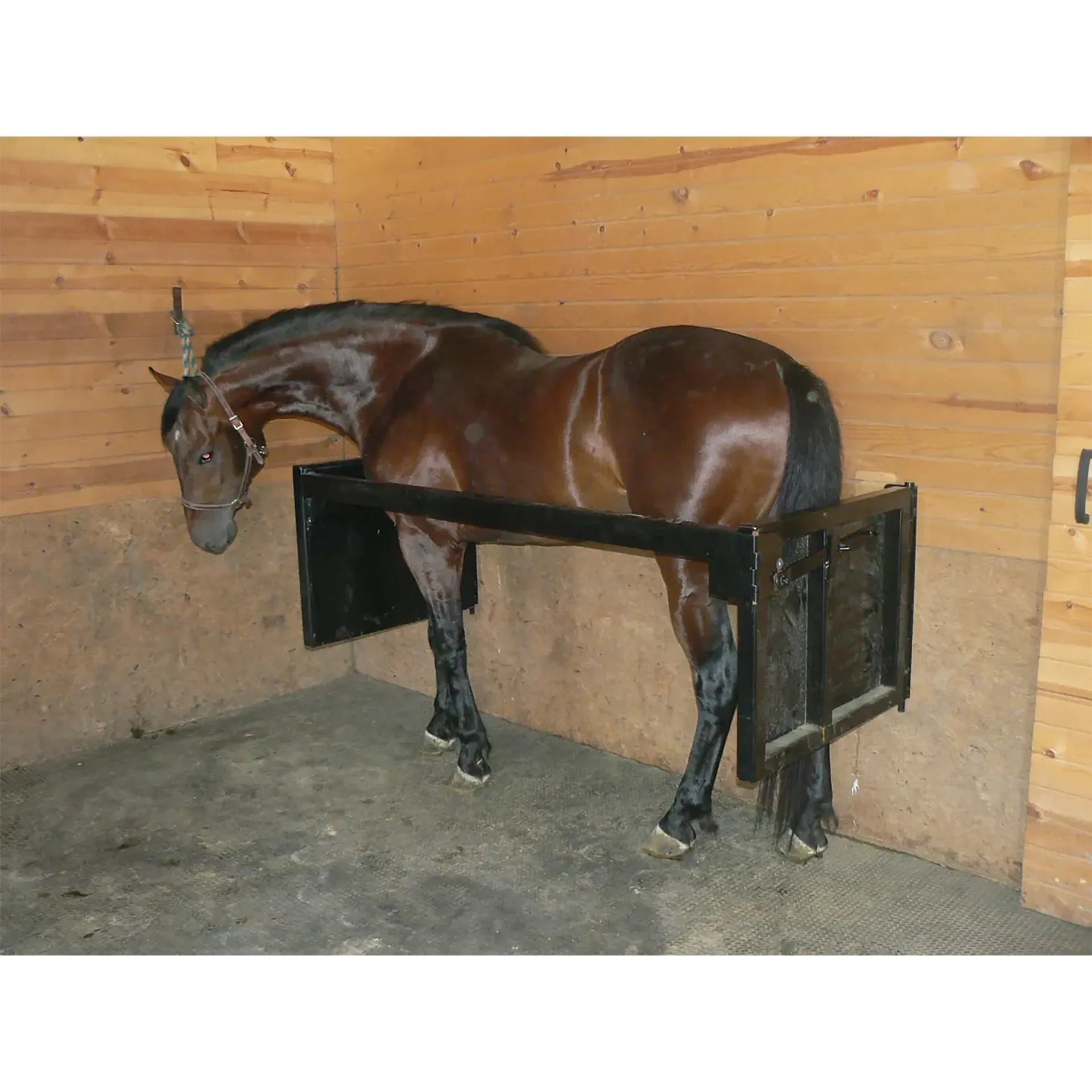 Stall Stocks Uni,"Black horse in wooden stall stocks"