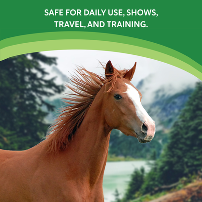 Happ-E-Mare,"Brown horse in profile with white blaze and blowing mane"