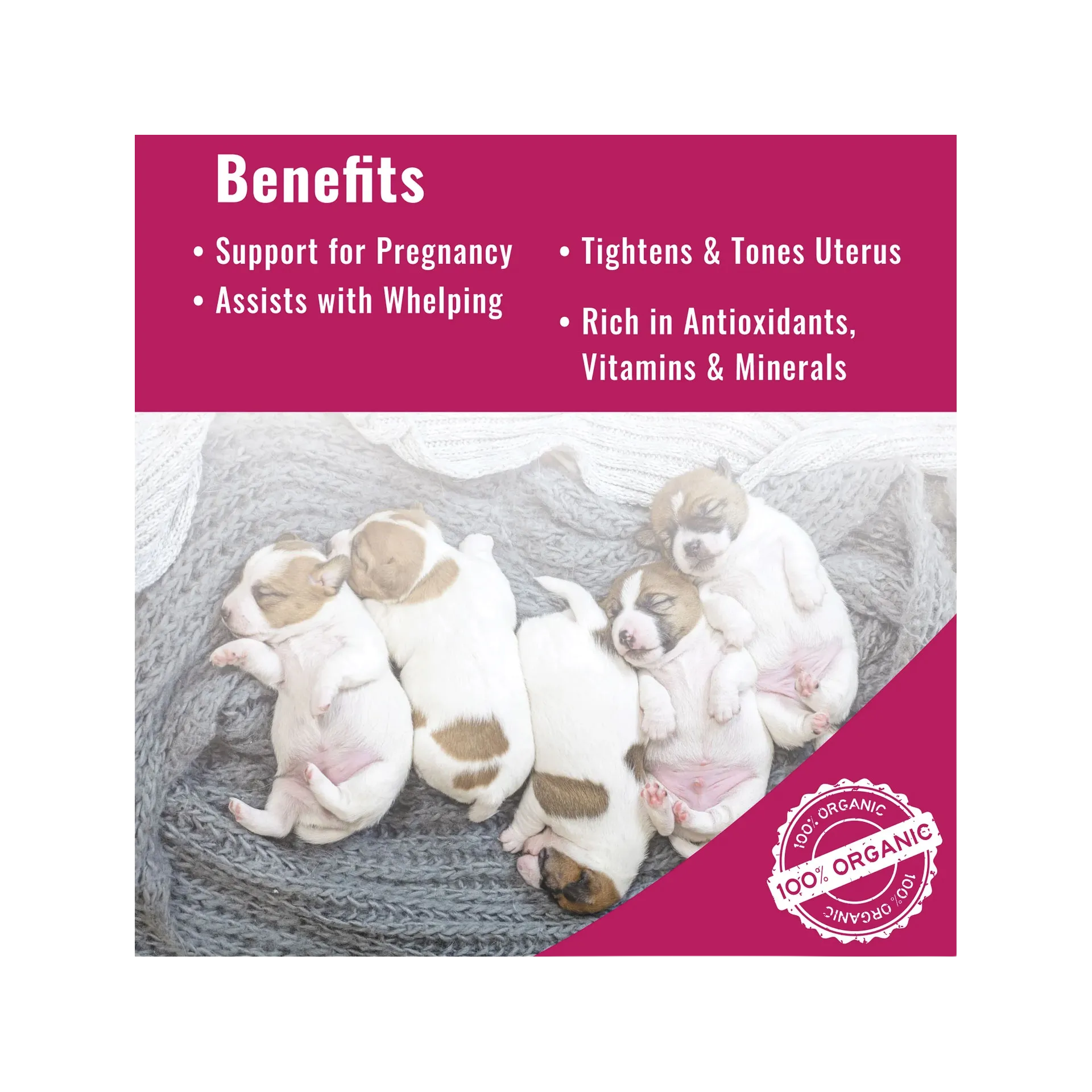Organic Red Raspberry Leaf Powder,"Four sleeping puppies on a gray blanket infographic"