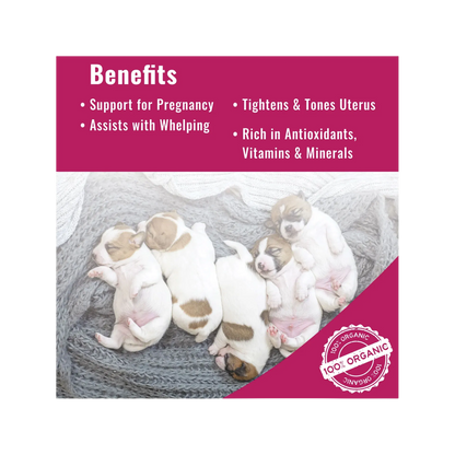 Organic Red Raspberry Leaf Powder,"Four sleeping puppies on a gray blanket infographic"