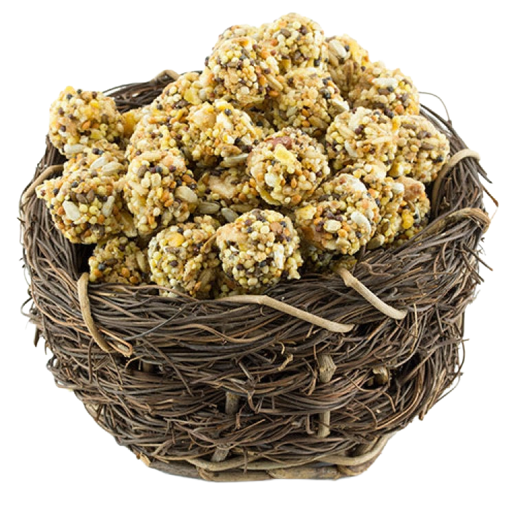 Lafeber Classic Nutri-Berries,"Seed clusters in a woven nest basket"