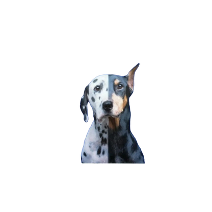 The Mutt Styling Guide by Chrissy Thompson