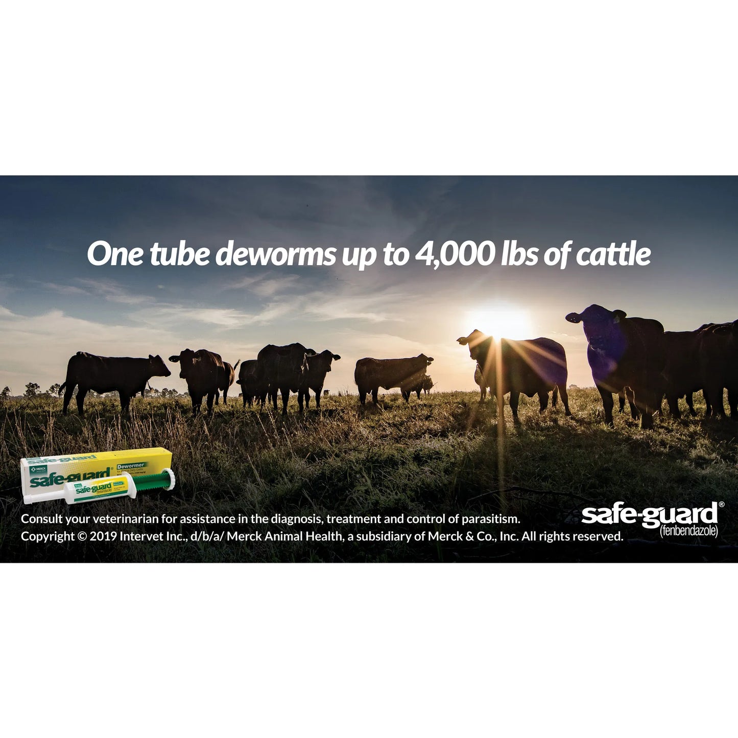 Safe-Guard® Equine Dewormer,"Dewormer tube and box with cattle pasture scene"