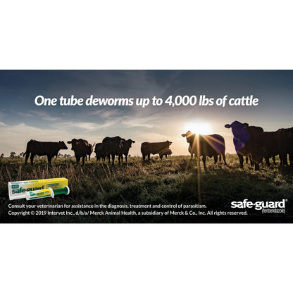 Safe-Guard® Equine Dewormer,"Dewormer tube and box with cattle pasture scene"