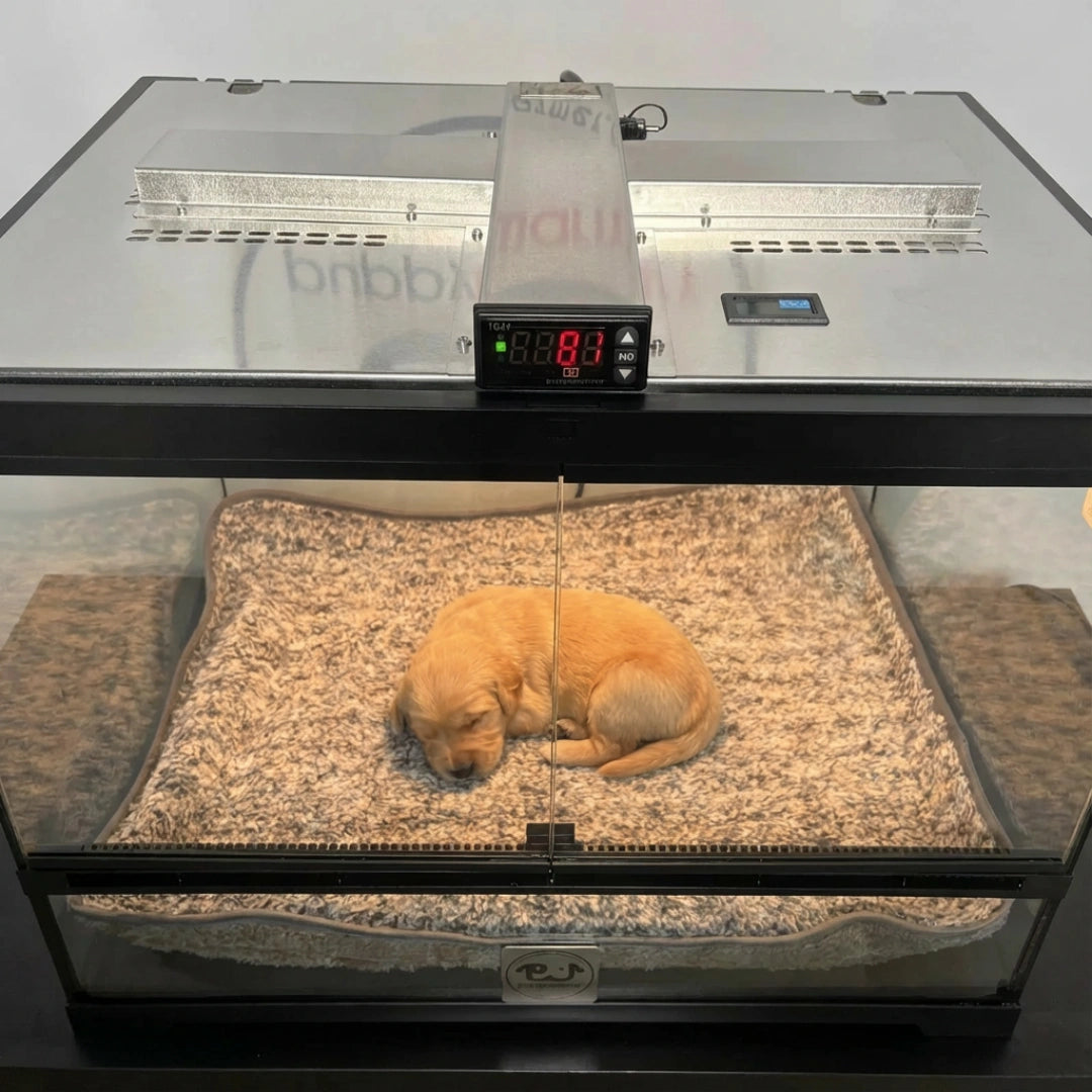 Puppywarmer Fleece Inserts,"Fleece insert lining a puppy warmer enclosure"