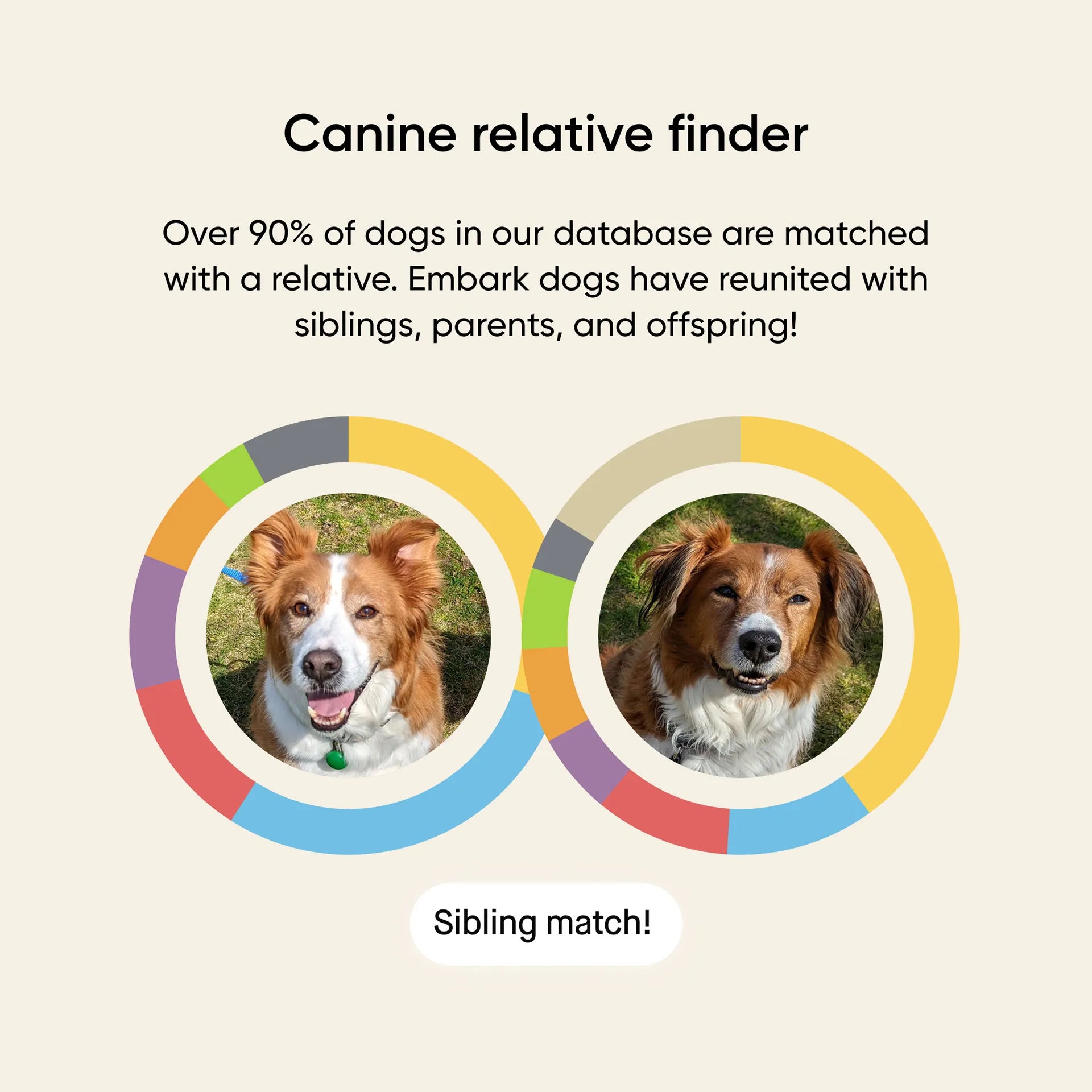 Embark® for Breeders Dog DNA Test Kit,"Two dog photos with circular DNA match graphics"