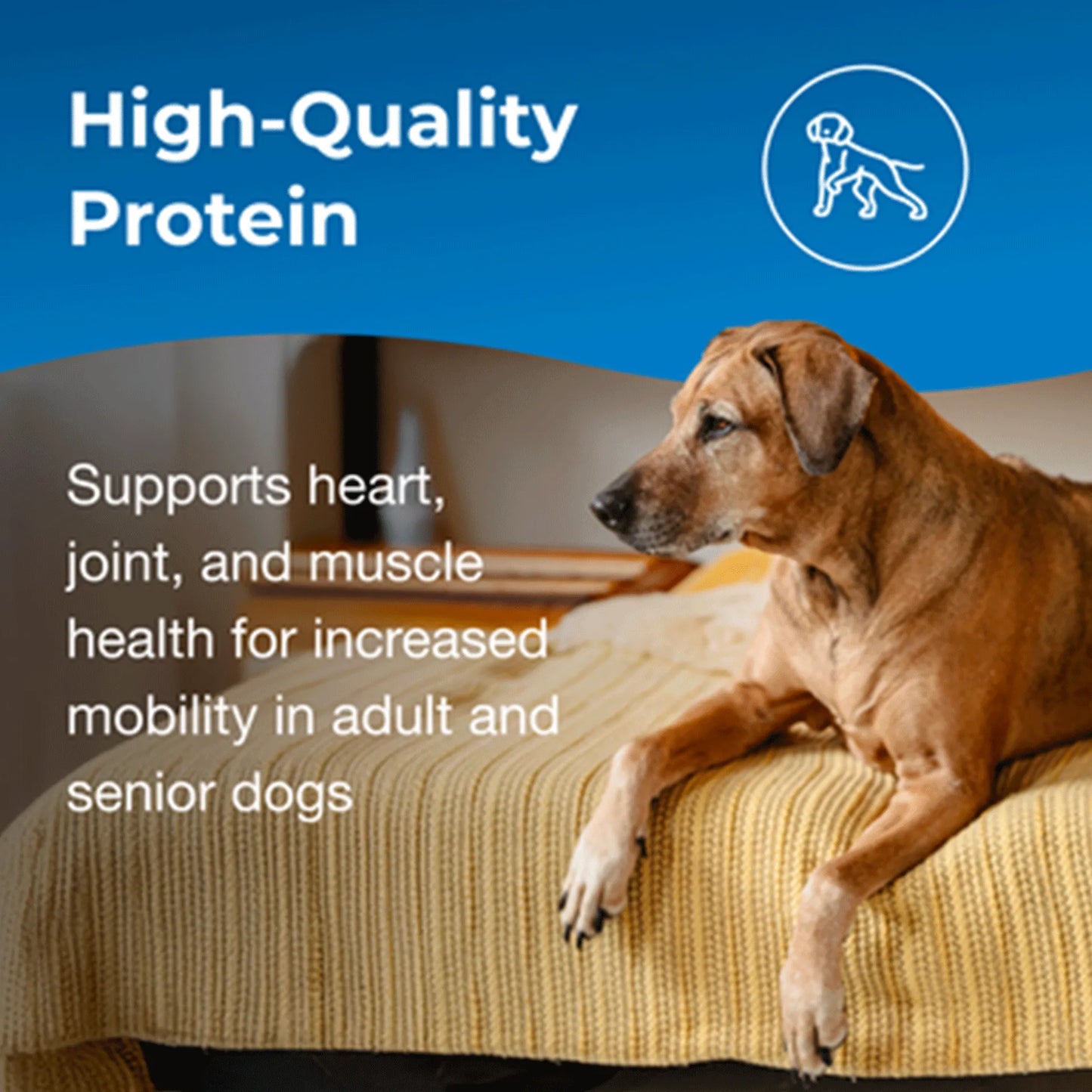 PetAg Esbilac Healthy Aging Powder for Adult and Senior Dogs,"Senior dog lying on a bed with blue informational graphic"