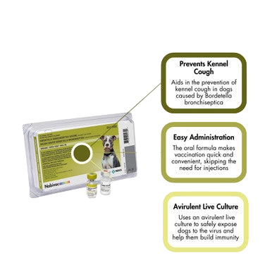 Nobivac® Canine Intra-Trac® Oral Bb,"Nasal applicator tray with two small vials and box"