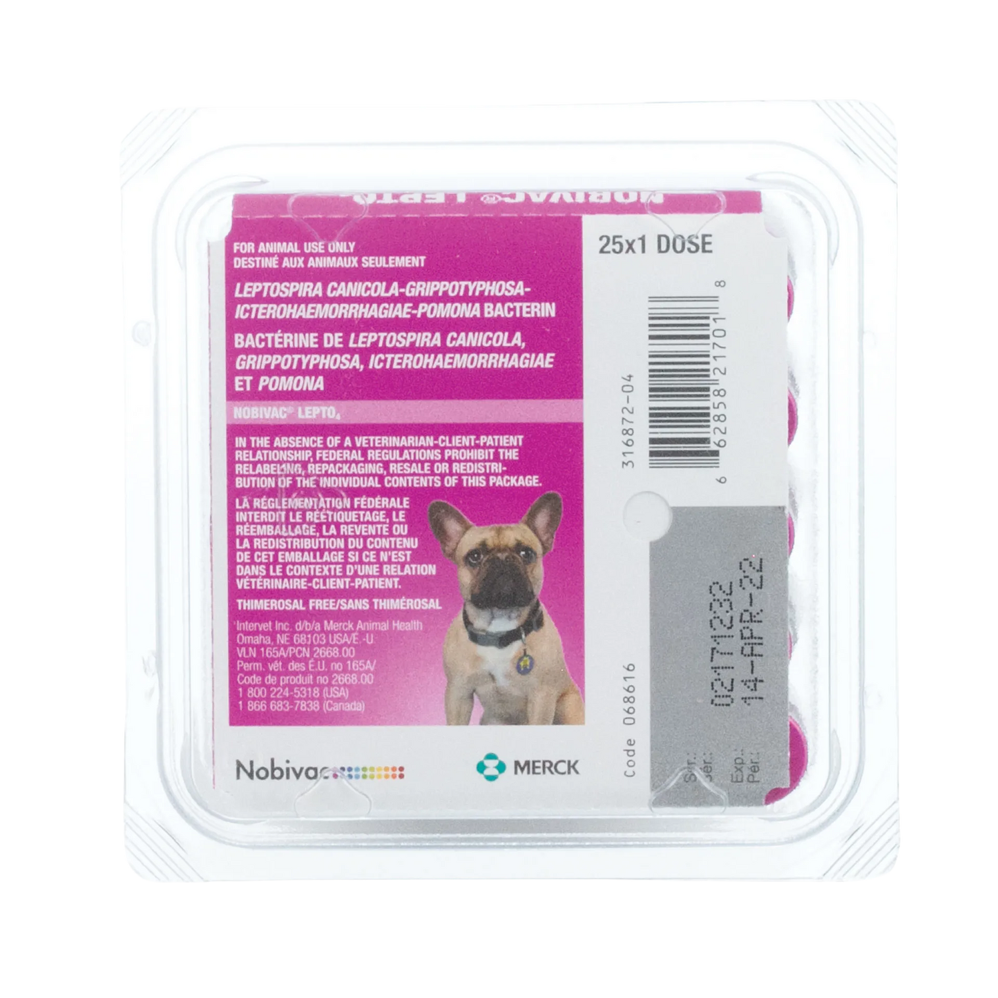 Nobivac® Canine Lepto4,"Pink vaccine tray pack with dog image and barcode label"