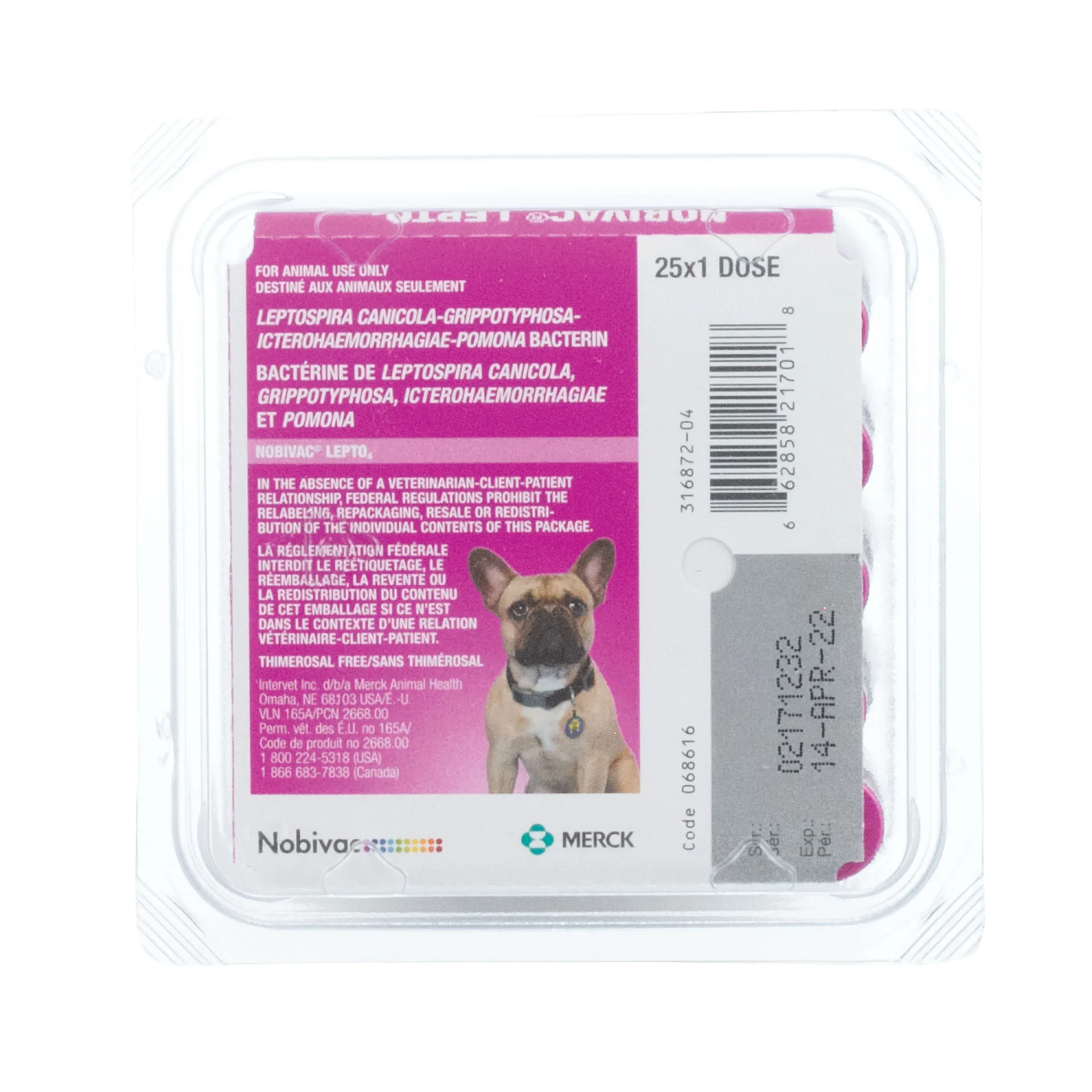 Nobivac® Canine Lepto4,"Pink vaccine tray pack with dog image and barcode label"