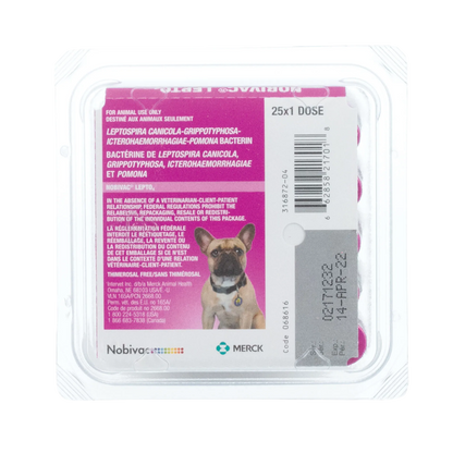 Nobivac® Canine Lepto4,"Pink vaccine tray pack with dog image and barcode label"