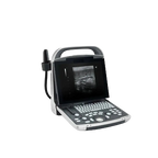 Equisound DP30 Portable Equine Ultrasound,"Portable ultrasound machine with screen, keyboard, and probe"