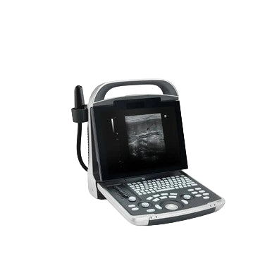 Equisound DP30 Portable Equine Ultrasound,"Portable ultrasound machine with screen, keyboard, and probe"