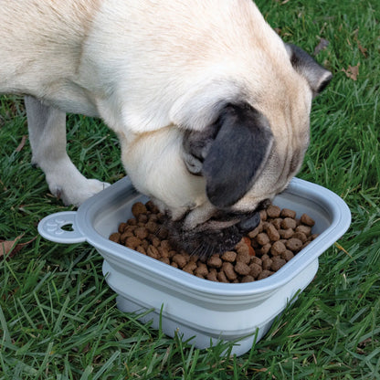 Replacement Collapsible Dog Bowls,"Gray collapsible dog bowl filled with kibble on grass"