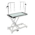 "50"" Dog Grooming LED Electric Table without Drawer White by Waggz","White electric grooming table with overhead arm"