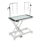 "50"" Dog Grooming LED Electric Table without Drawer White by Waggz","White electric grooming table with overhead arm"