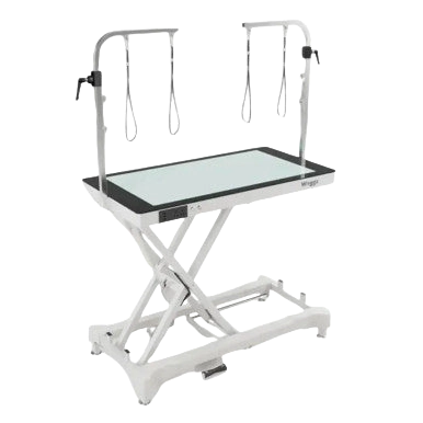 "50"" Dog Grooming LED Electric Table without Drawer White by Waggz","White electric grooming table with overhead arm"